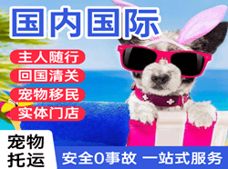 忻州五台山航空快递国际宠物托运 【国